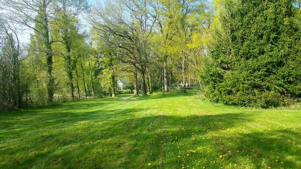 Camping De La Reuille Flere-la-Riviere Exterior foto